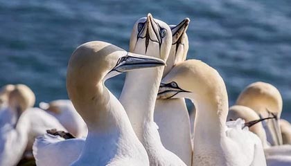 开云体育APP-PSG.LGD阵容深度不断增强，psg lgd队服